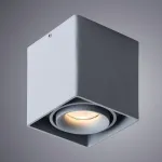 Накладной светильник Arte Lamp Pictor A5654PL-1GY от ImperiumLoft