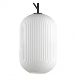 Подвесной светильник Odeon Light Roofi 4752/1 Цвет плафонов белый Цвет арматуры черный от ImperiumLoft