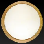 Потолочный светильник TopLight Jane TL9640Y-00OA 