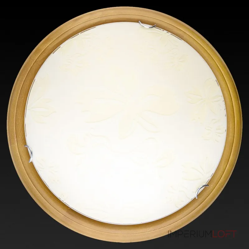 Потолочный светильник TopLight Jane TL9640Y-00OA Потолочный светильник TopLight Jane TL9640Y-00OA
