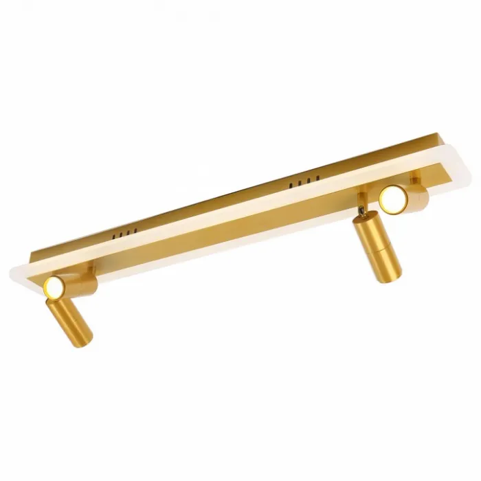Спот Arte Lamp Tommy A2607PL-30GO от ImperiumLoft