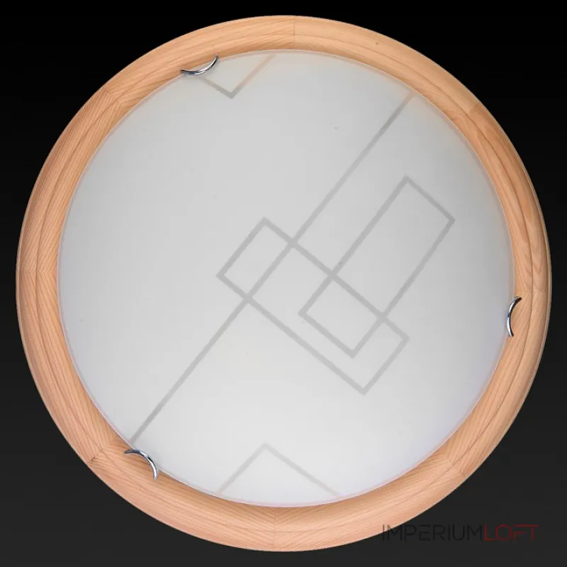 Потолочный светильник TopLight Debora TL9540Y-00PN 