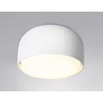 Накладной светильник Ambrella TN TN71001