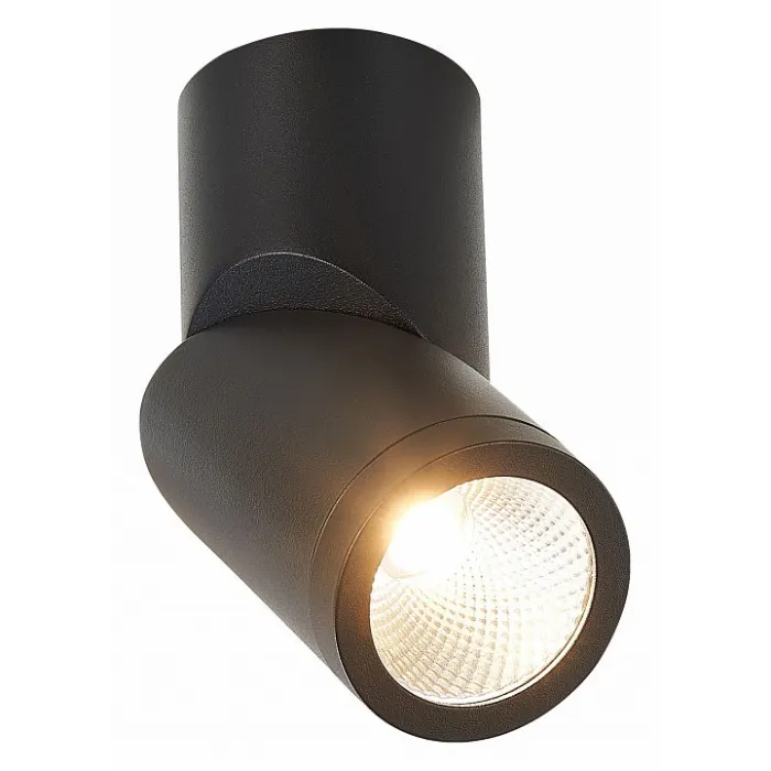 Светильник на штанге ST-Luce ST650 ST650.442.10 от ImperiumLoft