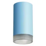 Накладной светильник Lightstar Rullo R43530