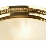 Потолочный светильник Arte Lamp Alta A3013PL-2GO 