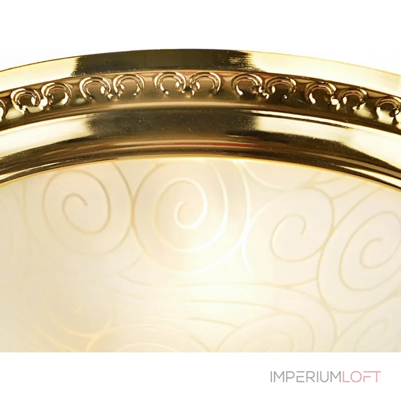 Потолочный светильник Arte Lamp Alta A3013PL-2GO 