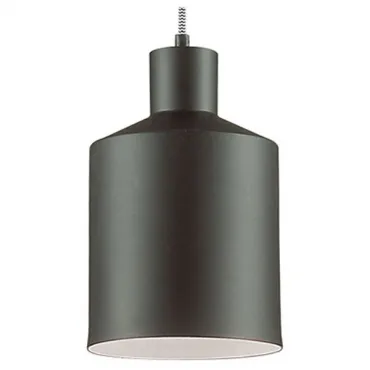 Подвесной светильник Lumion Rigby 3659/1 Цвет арматуры черный Цвет плафонов черный от ImperiumLoft