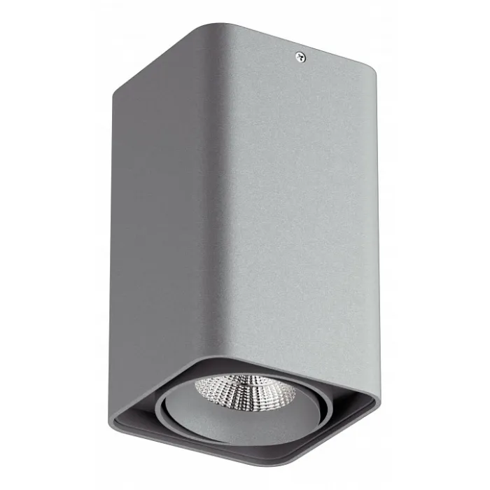 Накладной светильник Lightstar Monocco 212539 от ImperiumLoft