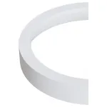 Вставка декоративная Maytoni Accessories for downlight DLA040-01W Цвет арматуры белый от ImperiumLoft