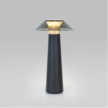 Настольная лампа декоративная Elektrostandard Future TL70200 от ImperiumLoft