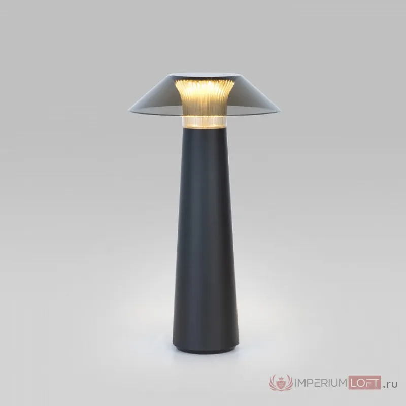 Настольная лампа декоративная Elektrostandard Future TL70200 от ImperiumLoft