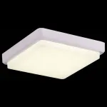Потолочный светильник EVOLUCE Taddio SLE200212-01 