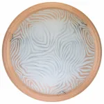 Потолочный светильник TopLight Agatha TL9260Y-00PN 