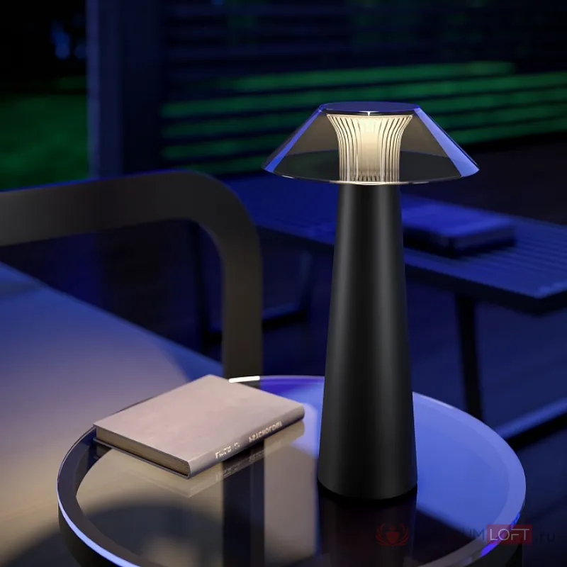 Настольная лампа декоративная Elektrostandard Future TL70200 от ImperiumLoft