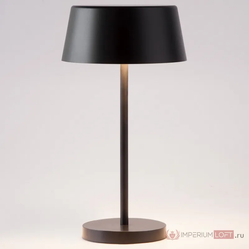 Настольная лампа декоративная Eurosvet Apollo 80424/1 черный Цвет арматуры черный Цвет плафонов черный от ImperiumLoft