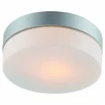Потолочный светильник Arte Lamp Aqua A3211PL-1SI 