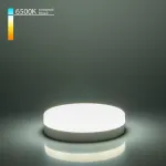 Лампа светодиодная Elektrostandard BLGX5306 a049831