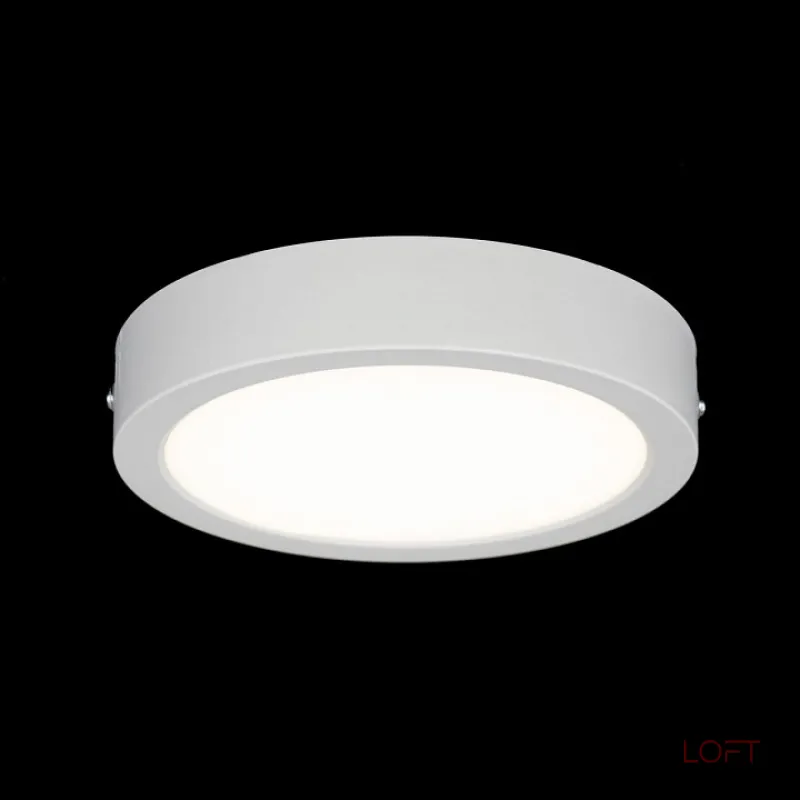 Накладной светильник Citilux Галс CL5516N