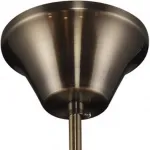 Подвесная люстра TopLight Zoe TL7220D-05AB 