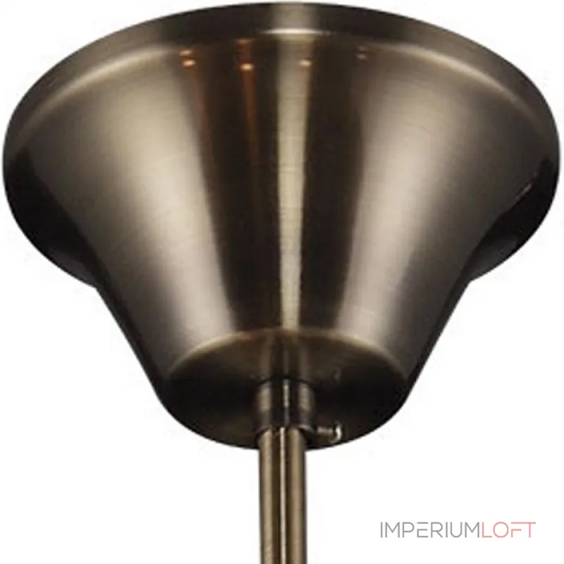 Подвесная люстра TopLight Zoe TL7220D-05AB 