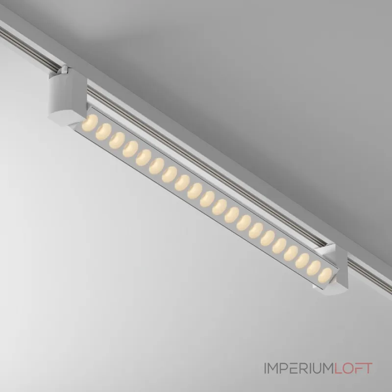 Трековый светильник Maytoni Points Rot TR010-1-20W3K-M-W