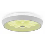 Накладной светильник Freya LED FR10012CL-L24W Цвет плафонов белый от ImperiumLoft