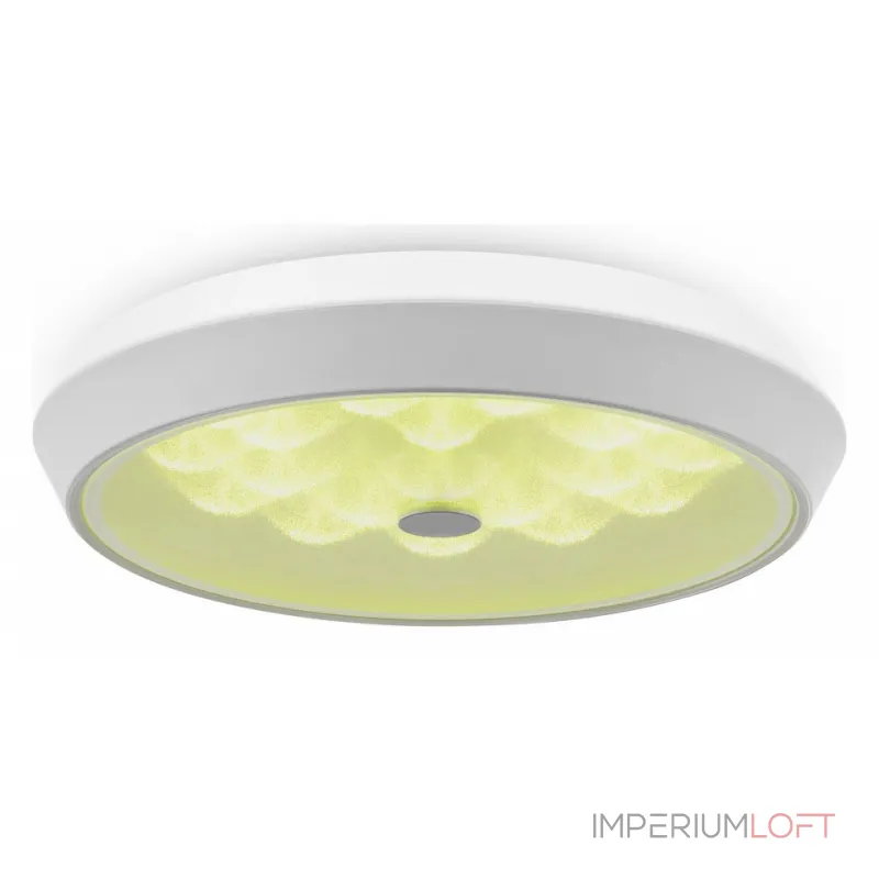 Накладной светильник Freya LED FR10012CL-L24W Цвет плафонов белый Накладной светильник Freya LED FR10012CL-L24W Цвет плафонов белый