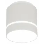 Накладной светильник Citilux Борн CL745020N