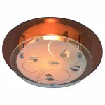 Потолочный светильник Arte Lamp Tiana A4043PL-1CC 