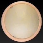Потолочный светильник TopLight Jane TL9640Y-00PN 