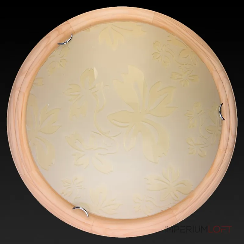 Потолочный светильник TopLight Jane TL9640Y-00PN 