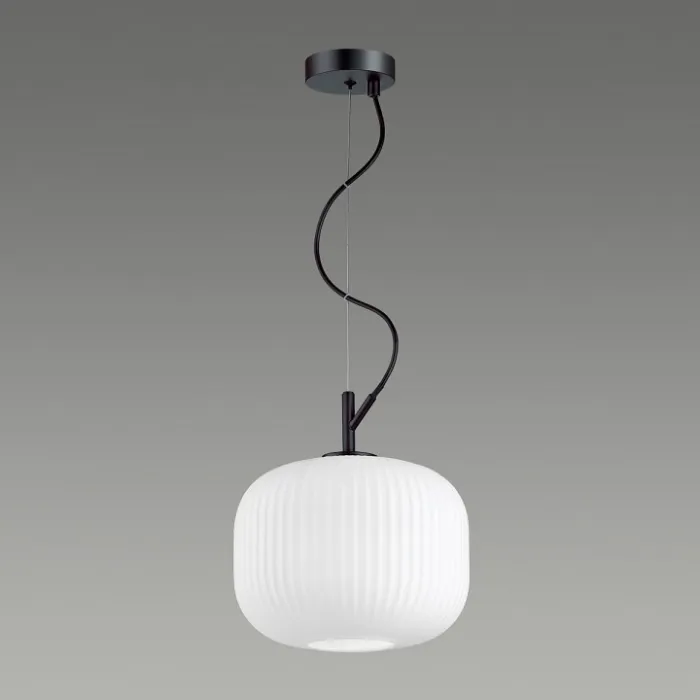 Подвесной светильник Odeon Light Roofi 4753/1 Цвет плафонов белый Цвет арматуры черный от ImperiumLoft