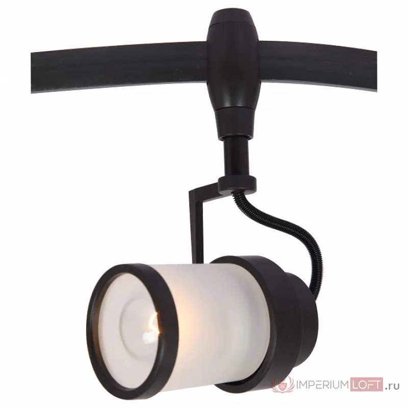 Светильник на штанге Arte Lamp Rails A3056 A3056PL-1BK Цвет арматуры черный Цвет плафонов черно-белый от ImperiumLoft