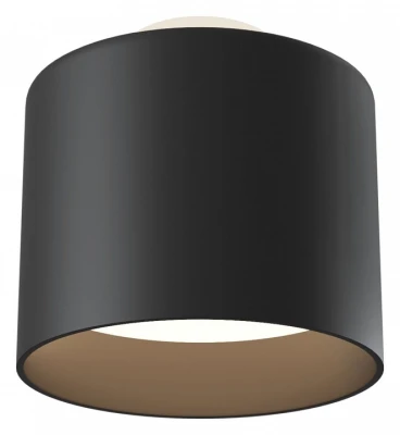 Потолочный светильник Technical C009CW-L12B