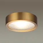 Накладной светильник Odeon Light Reus 4342/7CL Цвет арматуры бронза Цвет плафонов бронза от ImperiumLoft