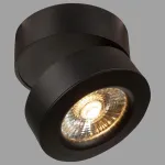 Накладной светильник Maytoni Treviso C023CL-L20B Цвет арматуры черный Цвет плафонов черный от ImperiumLoft