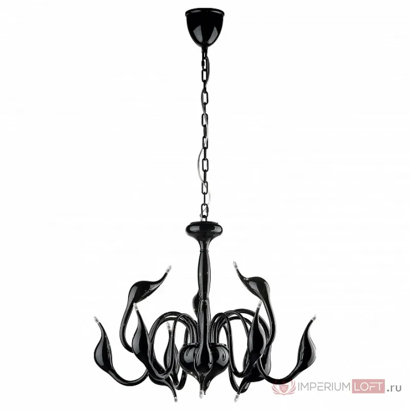Подвесная люстра Lightstar Cigno Collo 751127 Цвет арматуры черный от ImperiumLoft
