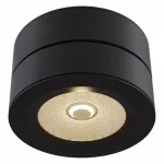 Накладной светильник Maytoni Treviso C023CL-L20B Цвет арматуры черный Цвет плафонов черный от ImperiumLoft