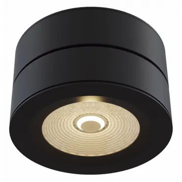 Накладной светильник Maytoni Treviso C023CL-L20B Цвет арматуры черный Цвет плафонов черный от ImperiumLoft