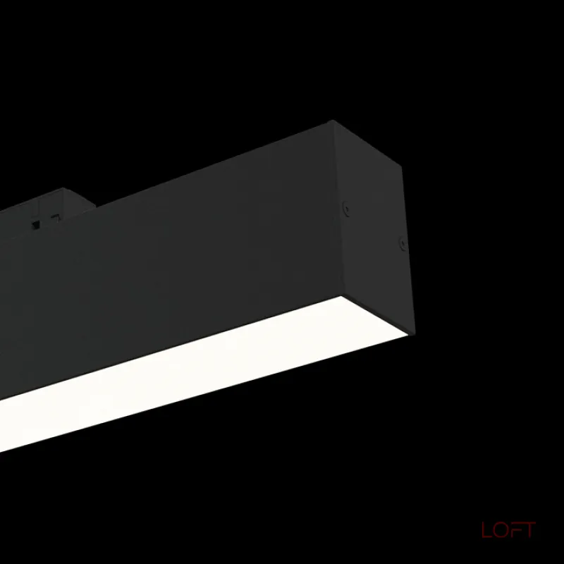 Накладной светильник Maytoni Track lamps TR012-2-12W3K-B Цвет арматуры черный Цвет плафонов черный