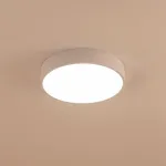 Потолочный светильник Citilux Купер CL72424V0 Потолочный светильник Citilux Купер CL72424V0