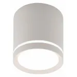 Накладной светильник Denkirs DK4016 DK4013-WH от ImperiumLoft