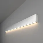 Накладной светильник Elektrostandard 101-100-30-103 a041481 Цвет арматуры серебро от ImperiumLoft