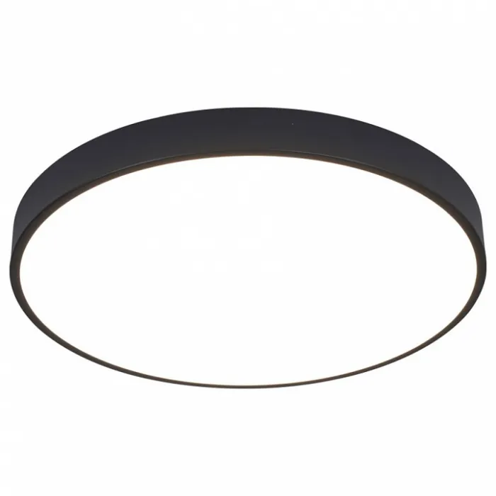 Накладной светильник Arte Lamp Arena A2672PL-1BK от ImperiumLoft