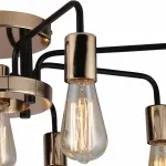 Потолочная люстра Arte Lamp 6001 A6001PL-9BK 