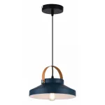 Подвесной светильник Wendi TL1225H-01GR Toplight