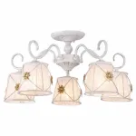 Потолочная люстра Arte Lamp Fortuna A5495PL-5WG 