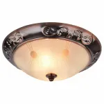 Потолочный светильник Arte Lamp Alta A3014PL-2AC 