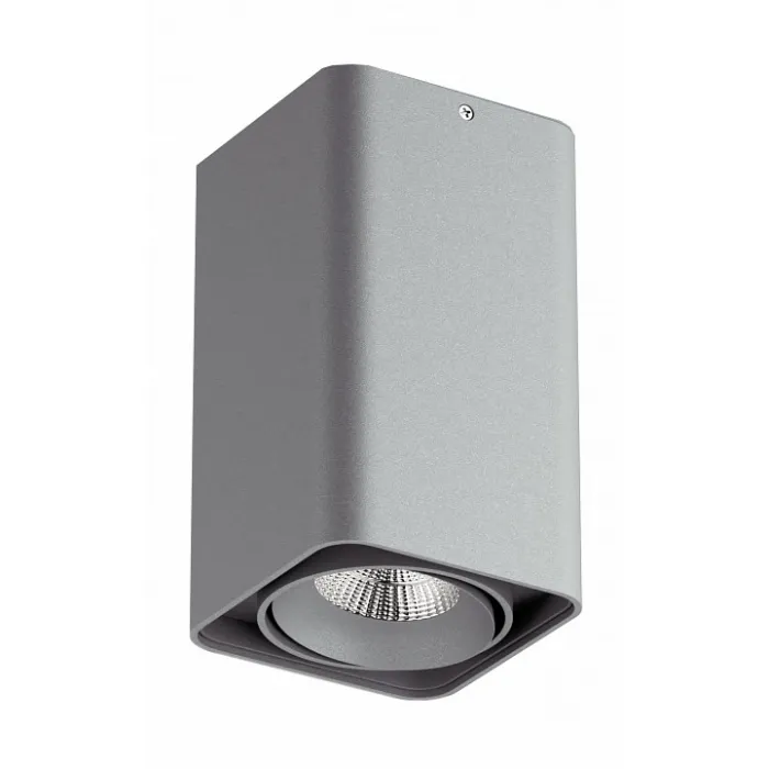 Накладной светильник Lightstar Monocco 52139 от ImperiumLoft